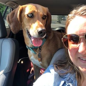 Meet your Posher, Kate